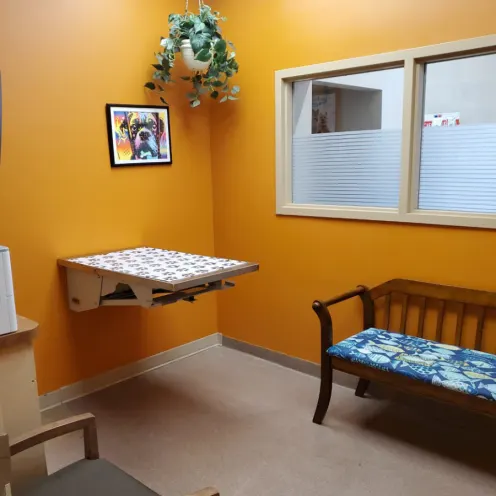 Orange examination room